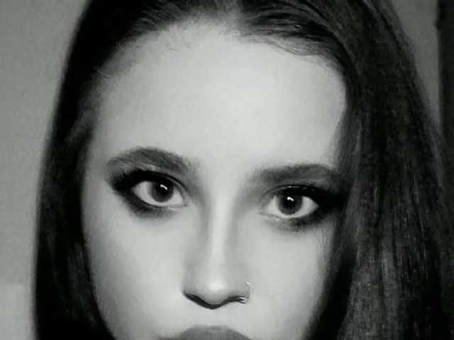 A profil fényképe alyafox