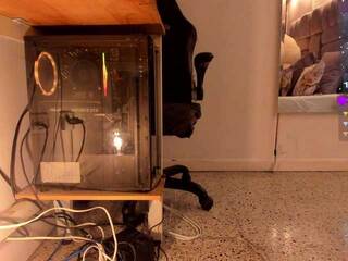 Erotikus videocsevegés amina-west