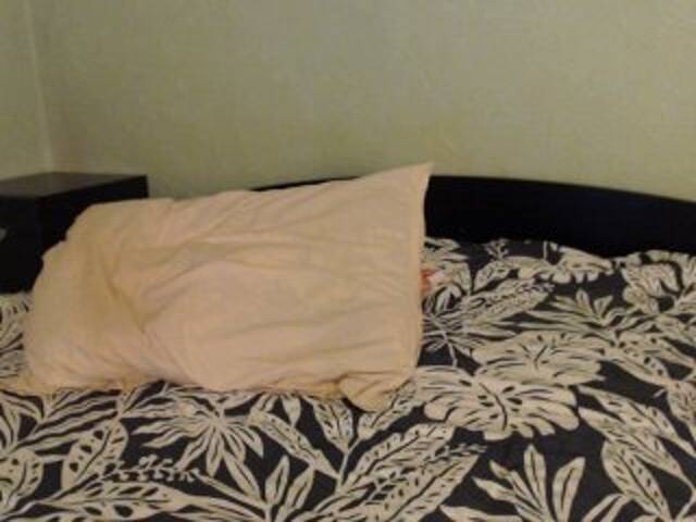 Sugárzási képernyőképek Alissia_Kiss