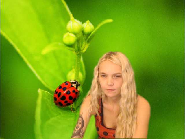 Fényképek AnnaHappy18 ...the story of the lonely ladybug.