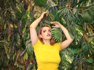 A profil fényképe AryBright