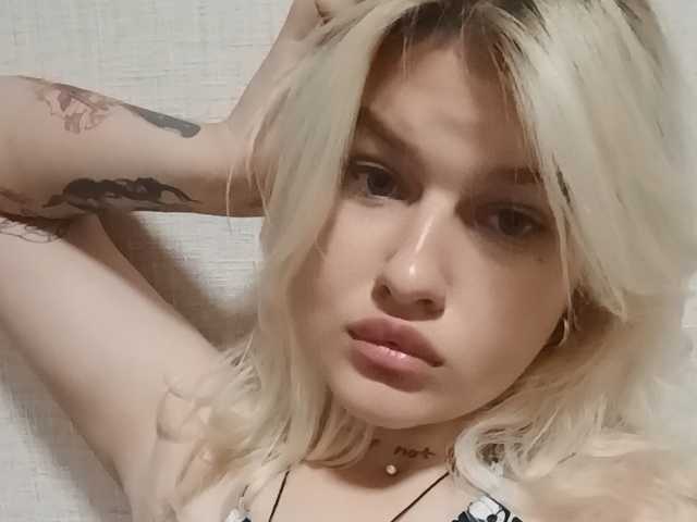 A profil fényképe Bellkins