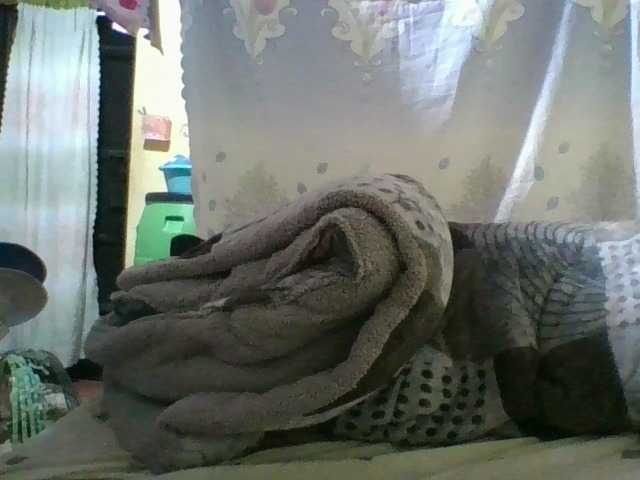 Sugárzási képernyőképek bigboobies2