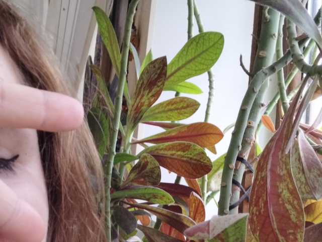 A profil fényképe Crazycouple8