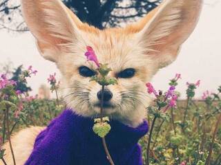 Erotikus videocsevegés Anecka31