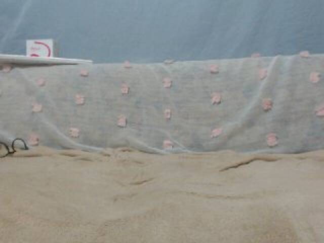 Sugárzási képernyőképek DonnaWildJoyy