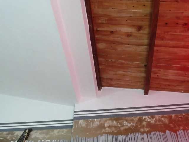 Sugárzási képernyőképek flexylive