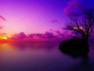 Erotikus videocsevegés florabella