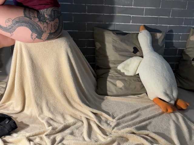 Sugárzási képernyőképek Fox-Paws