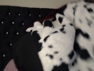 Erotikus videocsevegés Hornyrata