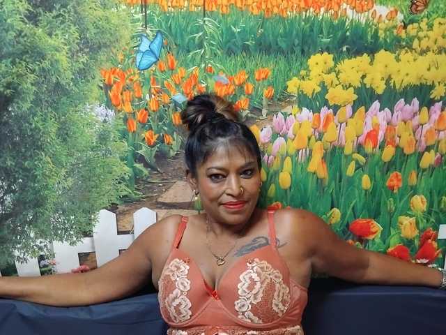 A profil fényképe indianbarbiedoll