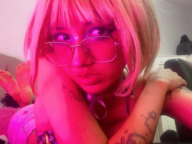 A profil fényképe kitty-scream