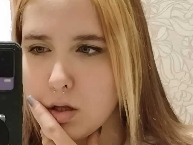 A profil fényképe licemiliska
