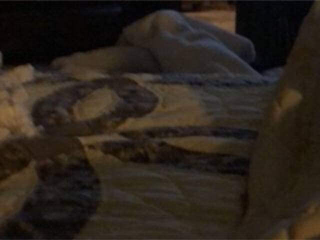 Sugárzási képernyőképek Littleshorty