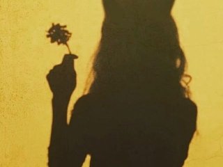 A profil fényképe Fiery_Phoenix