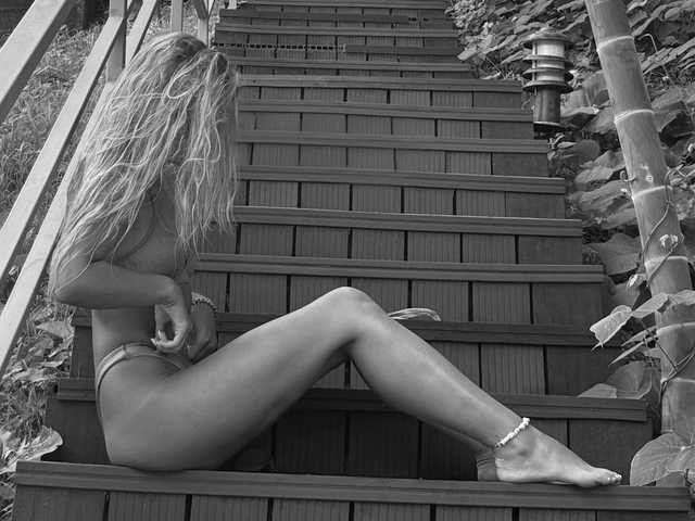 A profil fényképe Lynx