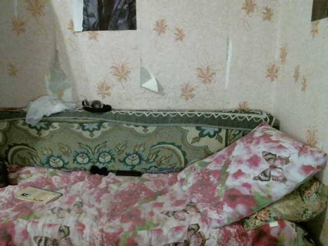 Sugárzási képernyőképek kar0linaa666