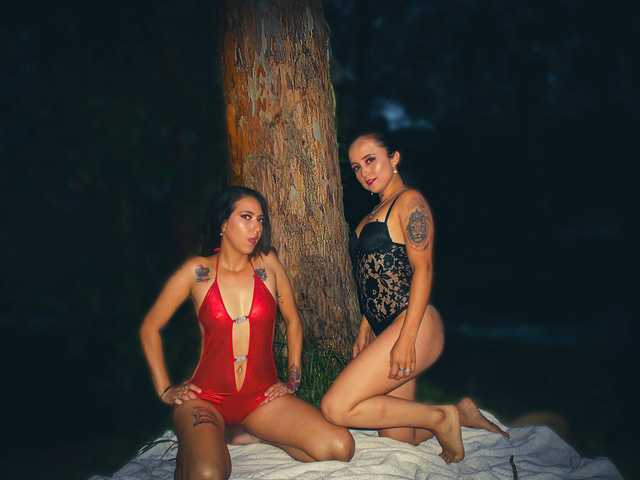 A profil fényképe nayarascarlet