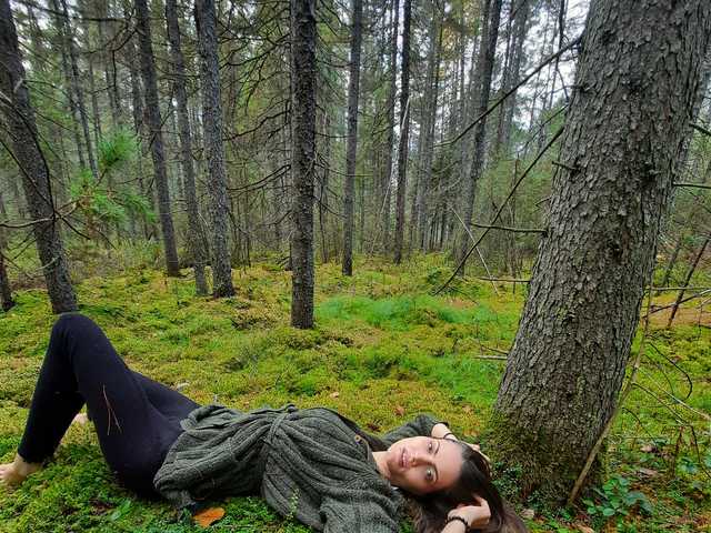 A profil fényképe Nerodiavern