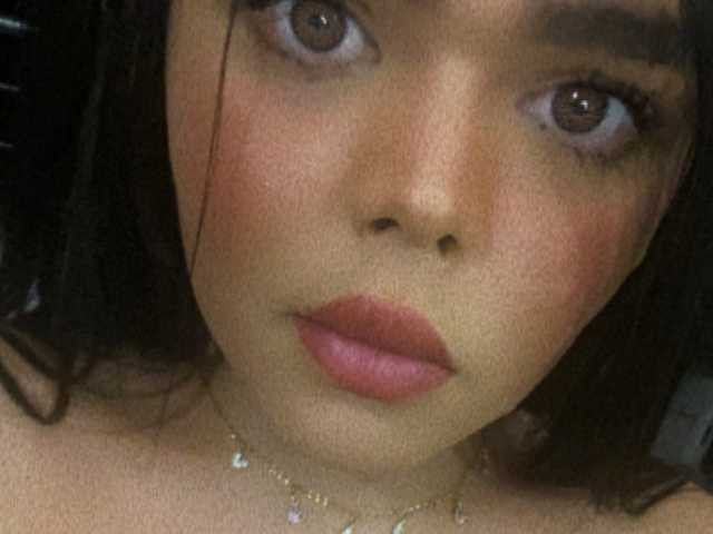 A profil fényképe niacardona