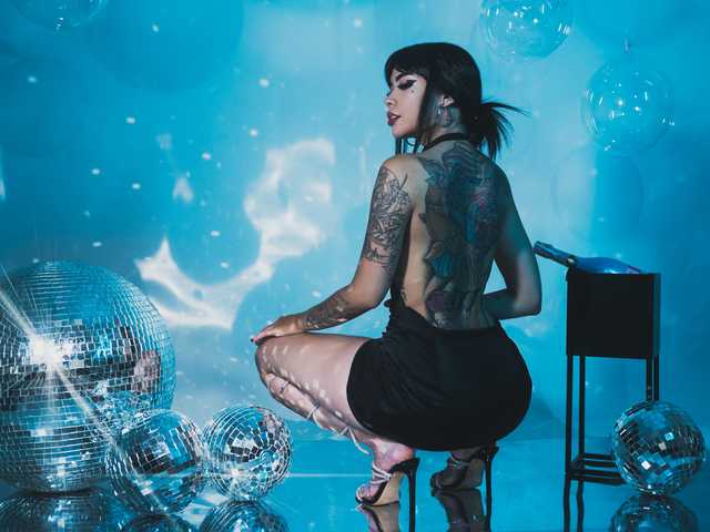 A profil fényképe Nicorobin