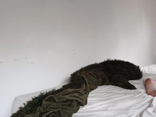 Erotikus videocsevegés nyxofempusa