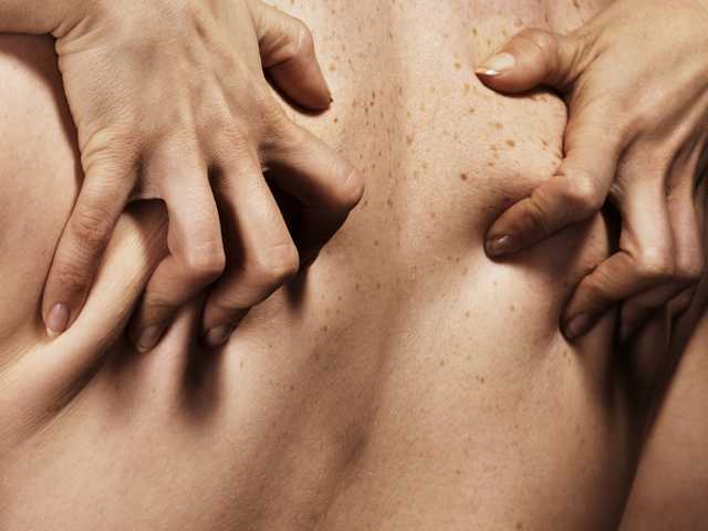 A profil fényképe Pineapple-Sex