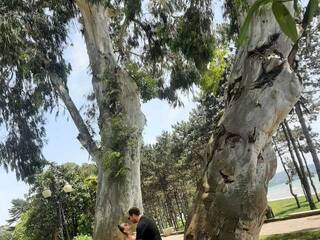 Erotikus videocsevegés PUPI-DEL-REY