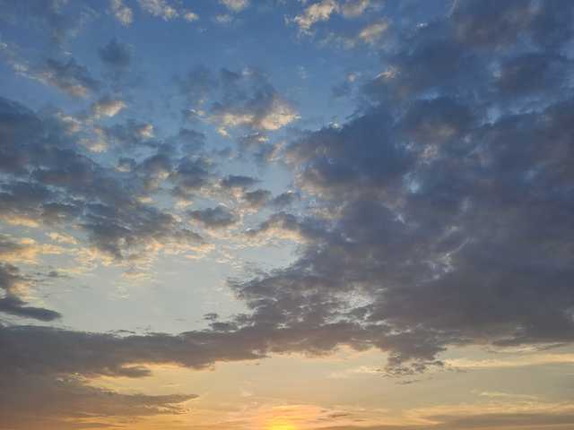 A profil fényképe onehumanbeing