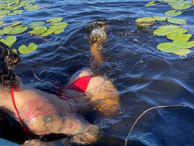 A profil fényképe Kronniekray