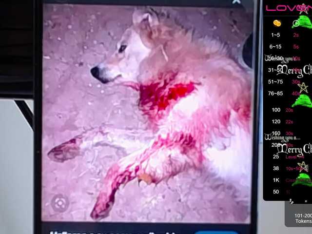 Sugárzási képernyőképek sofiaclaus