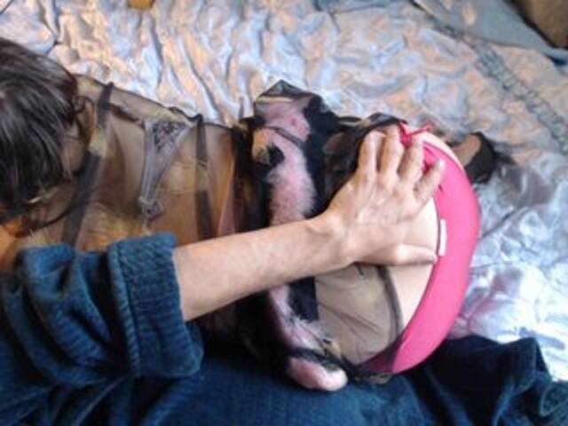 Sugárzási képernyőképek Masha_Ivanova