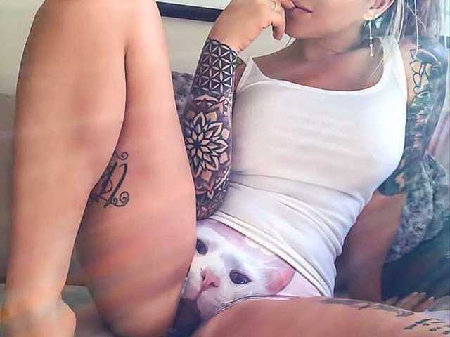 A profil fényképe SweetFox