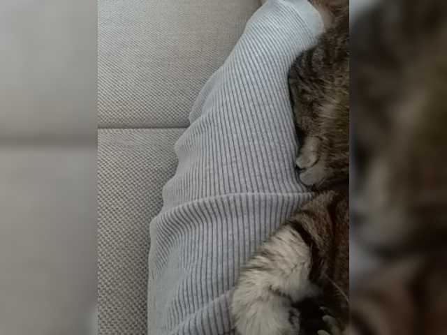 Sugárzási képernyőképek GolayaPravda