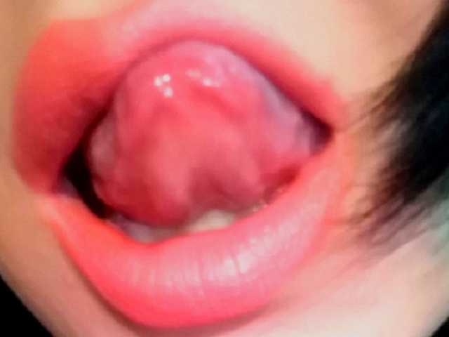A profil fényképe 1BECHA1