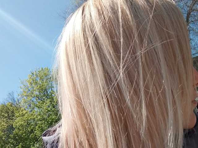 A profil fényképe 1BECHA1