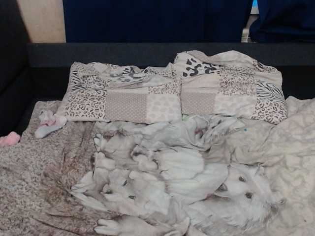 Sugárzási képernyőképek VikiMax69