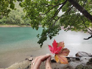 Erotikus videocsevegés _GoodGirl_