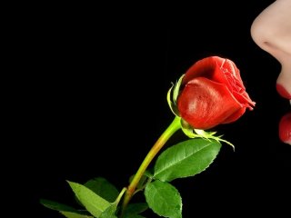 A profil fényképe xxsweetlady